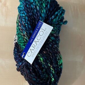 Malabrigo Caracol one skein unique color Multicolor Yarn super bulky